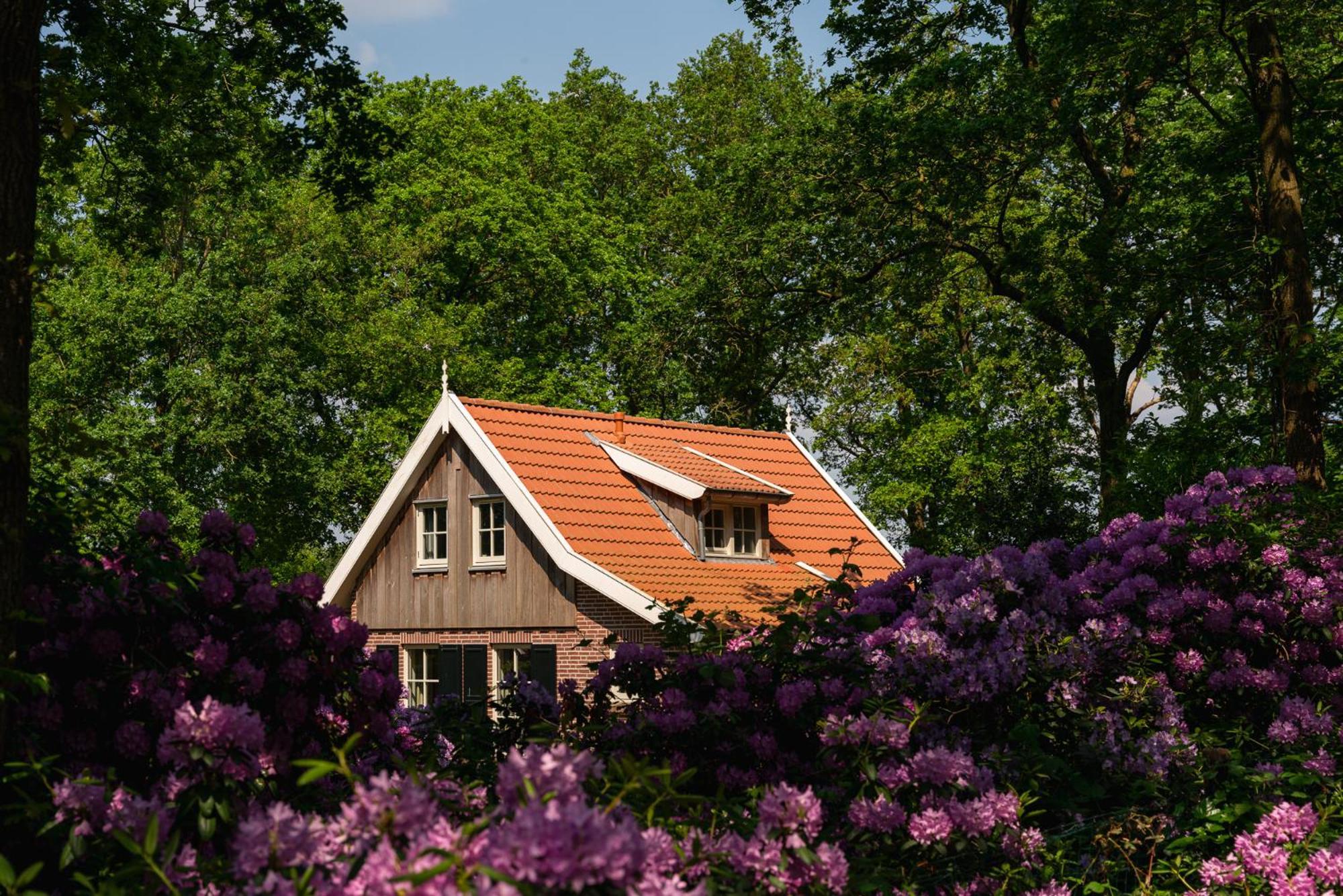 De Bosuil Villa Hoge-Hexel Bagian luar foto