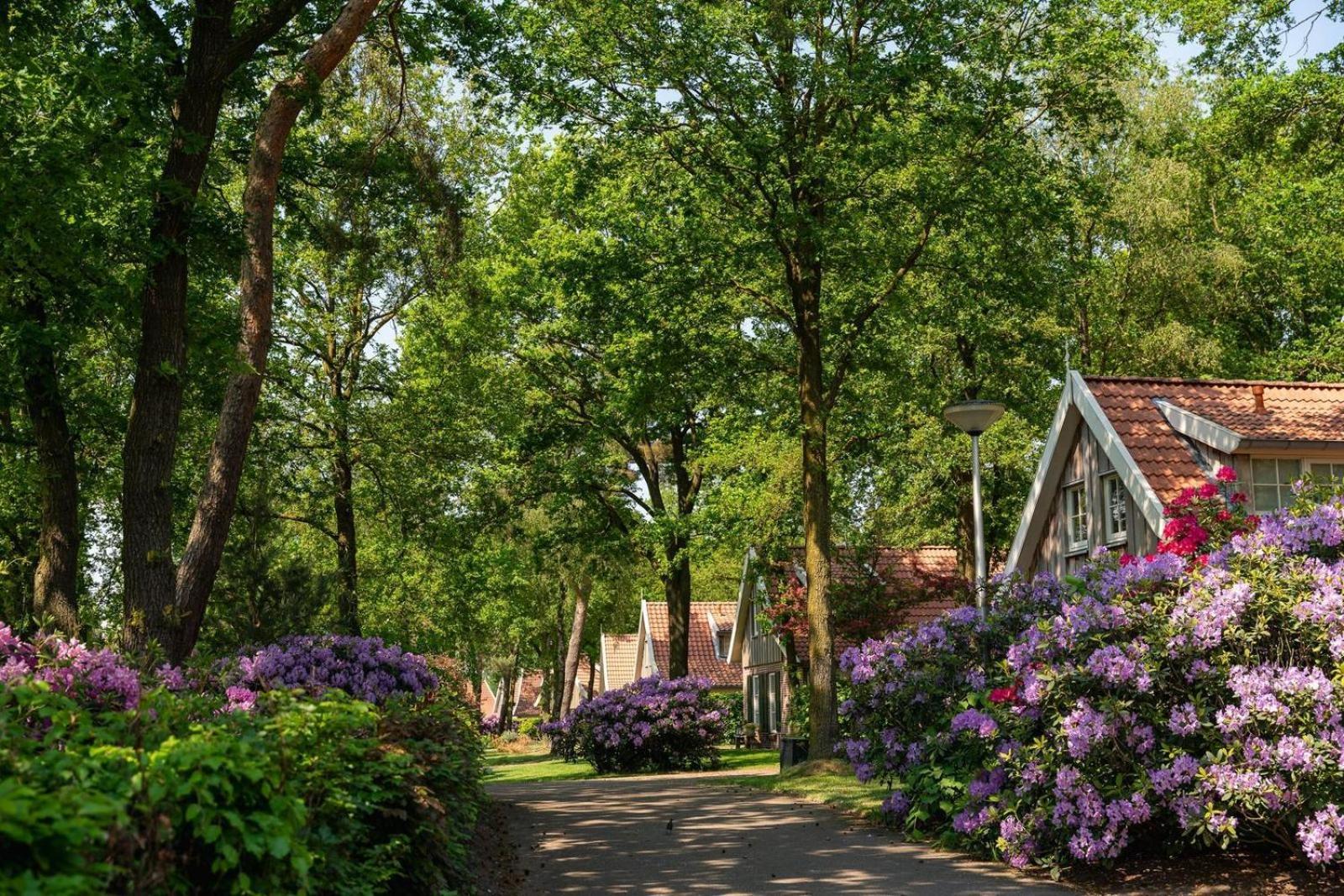 De Bosuil Villa Hoge-Hexel Bagian luar foto